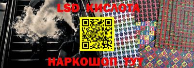 индика Владимир