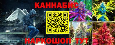 индика Владимир