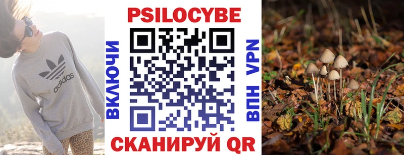 Галлюциногенные грибы MAGIC MUSHROOMS  купить  сайты  Большой Камень 