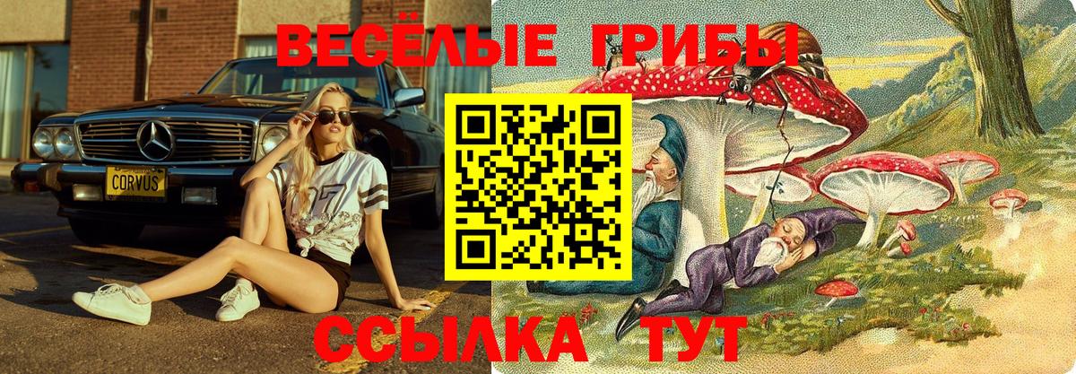 Псилоцибиновые грибы GOLDEN TEACHER  Вход с VPN  Большой Камень 